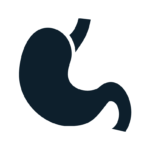 Gastrointestinal a icon of a stomach to represent gastrointestinal