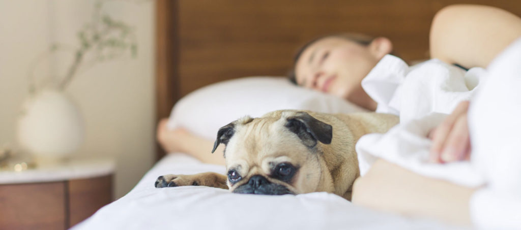 a woman sleeping in bed with a cute dog