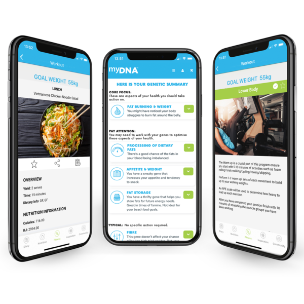 Insights, Meals & Workouts Insights, Meals & Workouts