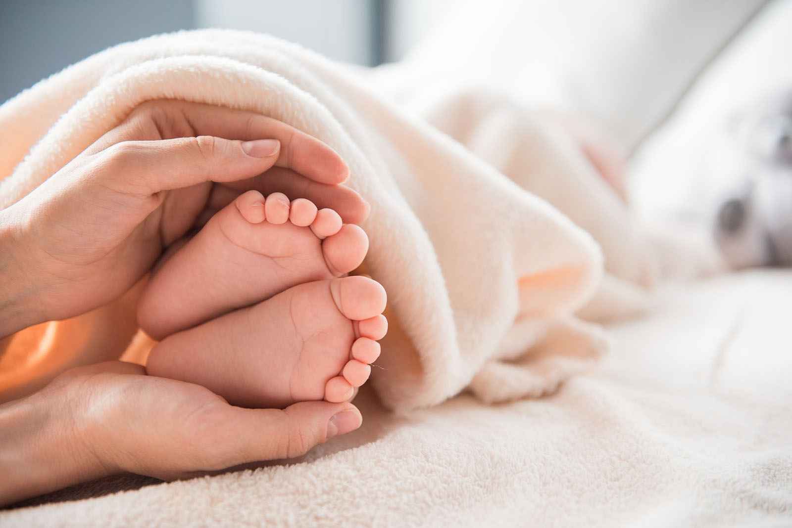 a close up of a mother's hands and baby's feet