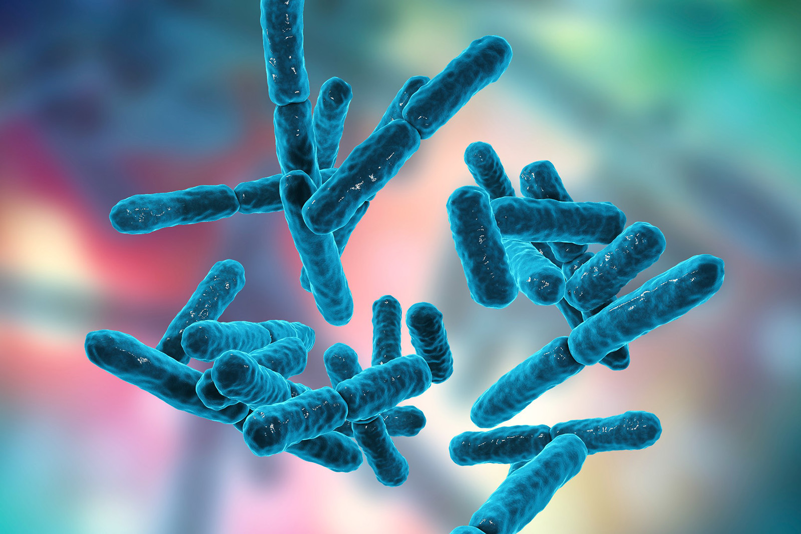 The Microbiome and Childbirth a 3d render of cells in the microbiome