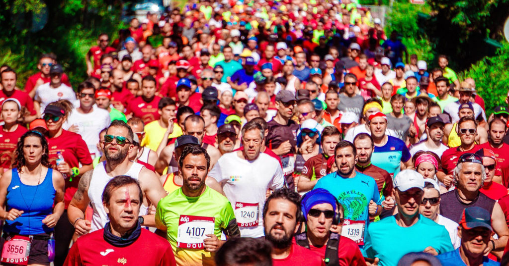 a large group of marathon runners