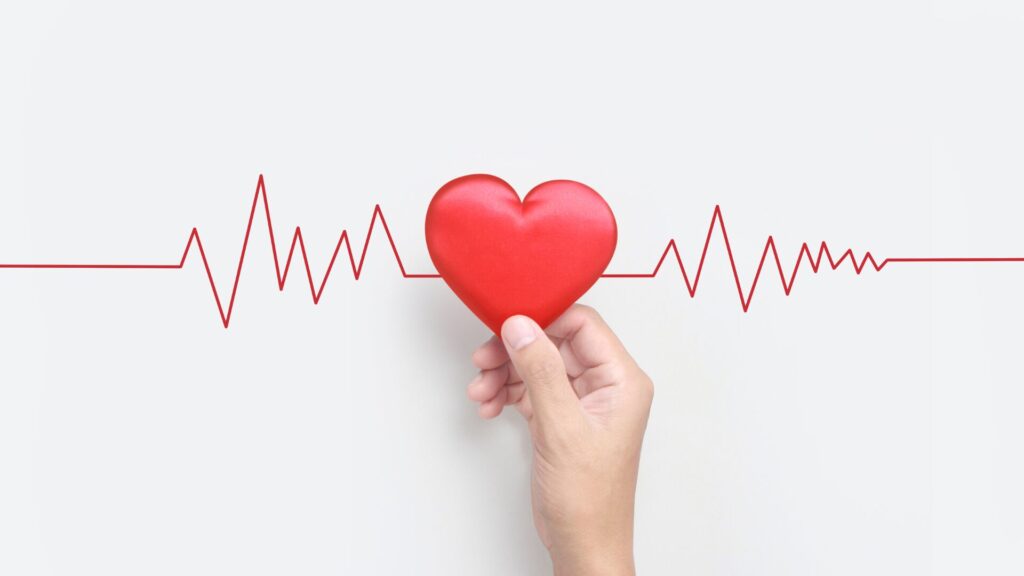 A person holding a red heart with a heart beat going through the middle